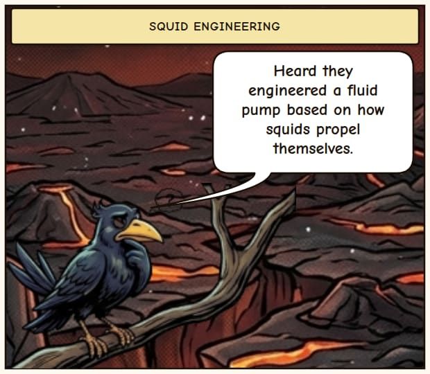 Squid-Inspired Tech