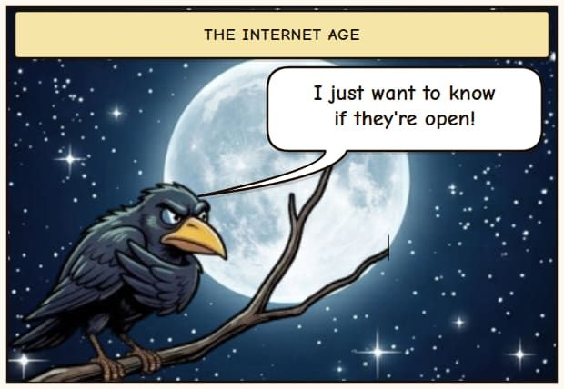 Small Biz Website Woes