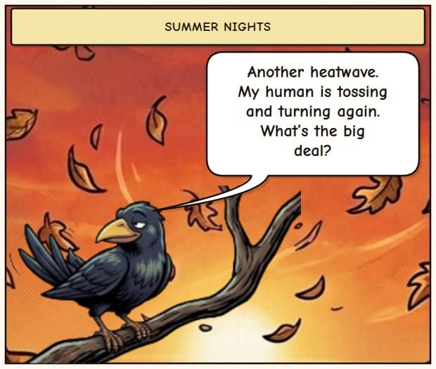 Hottest Night, Worst Sleep