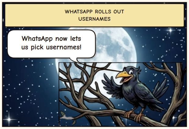 WhatsApp Usernames