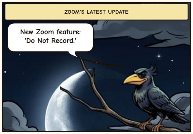 Zoom's Privacy Paradox