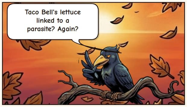 Taco Bell Lettuce Recall