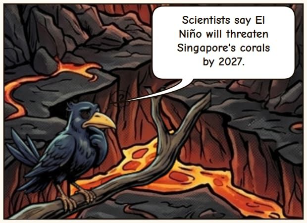 El Niño's Reefy Impact