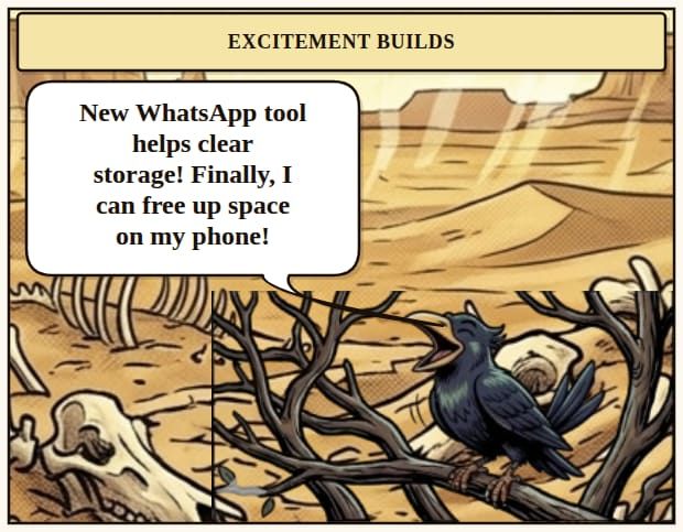 WhatsApp Storage Cleanup