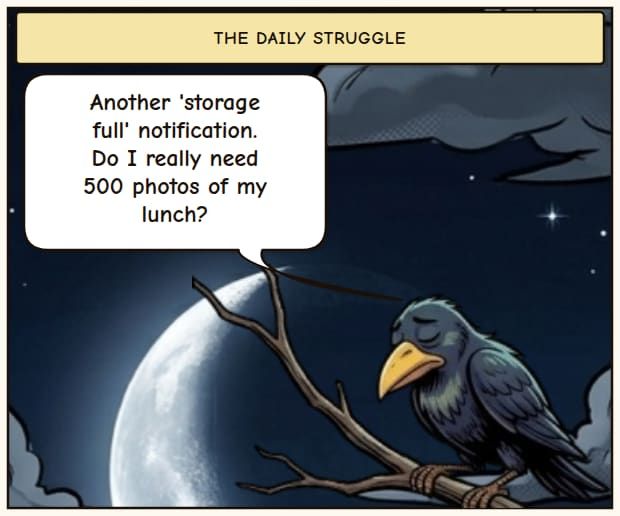 Storage Solutions