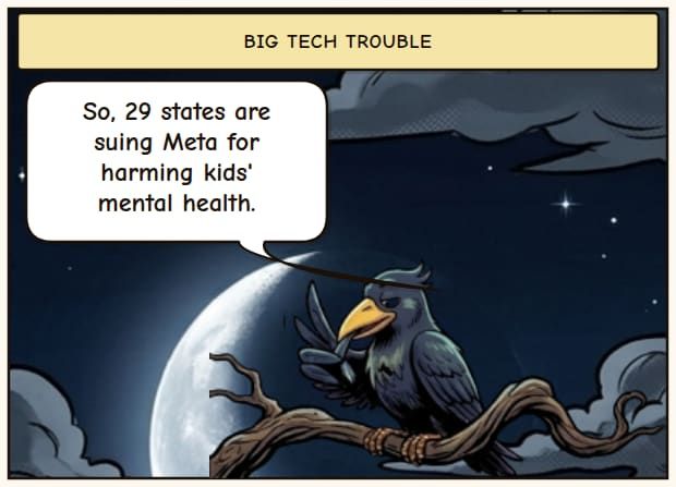 Meta vs. 29 States
