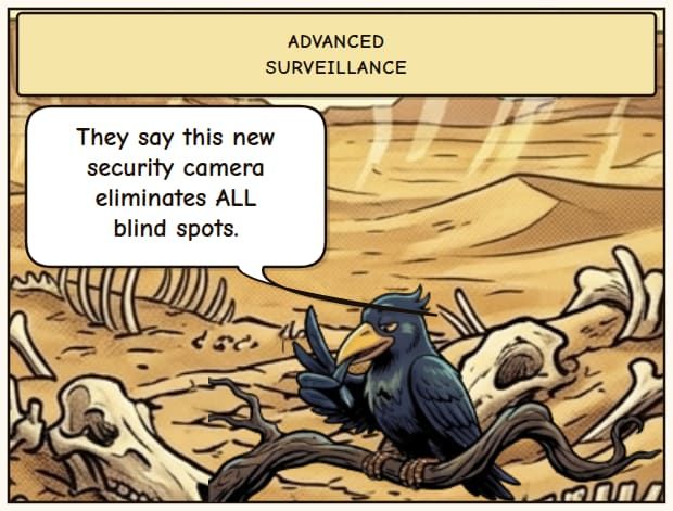 Reolink Security Cam: No Blind Spots