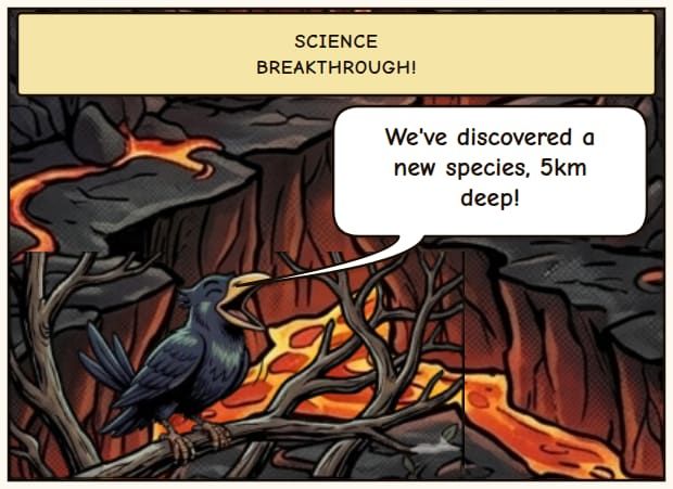 Deep-Sea 'Barbie Pig' Found